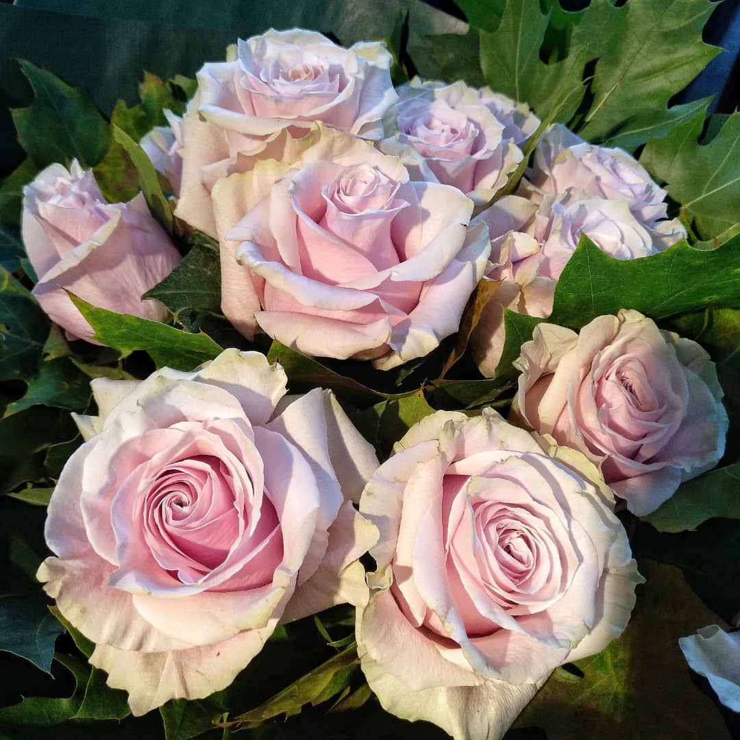 Ramo de flores