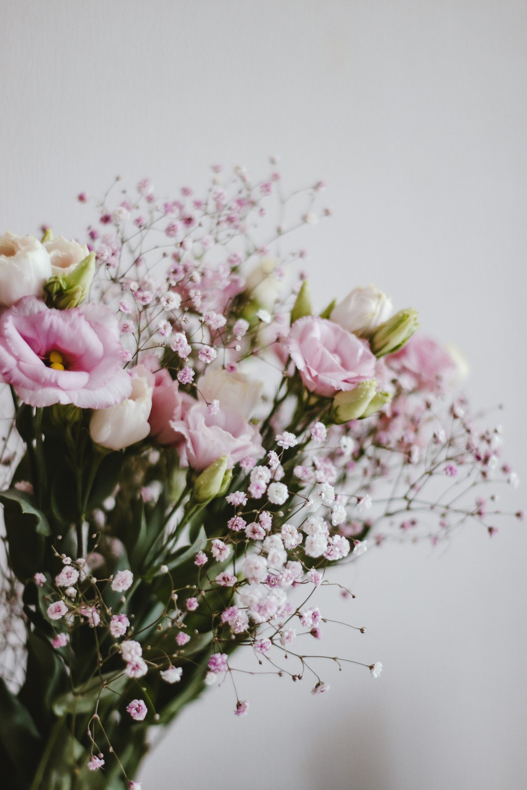 Flores