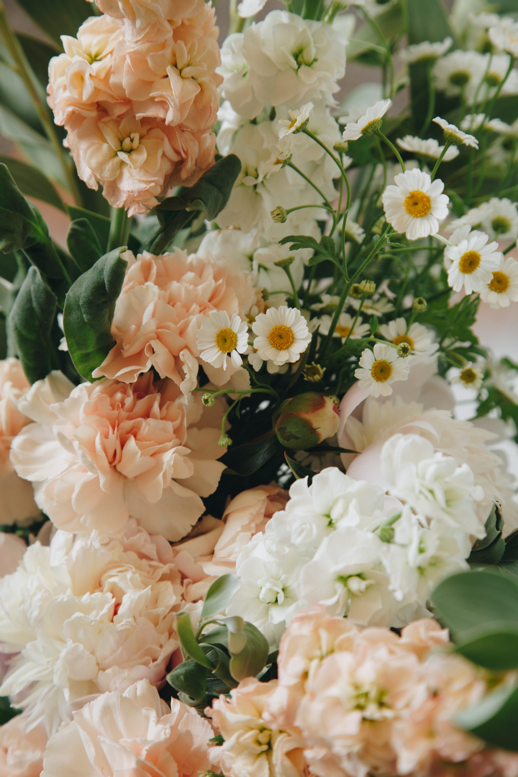 Flores