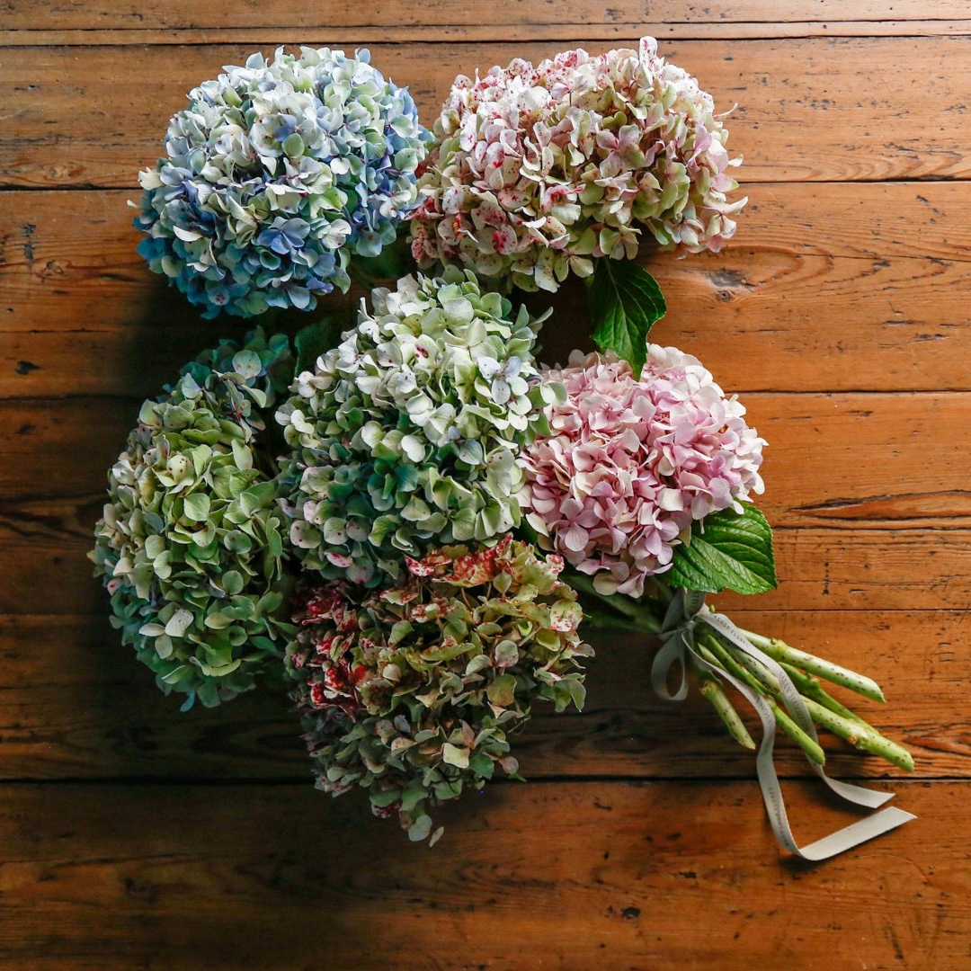 Ramo de flores