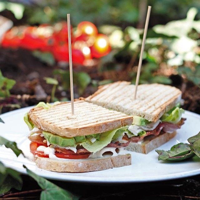 sándwich