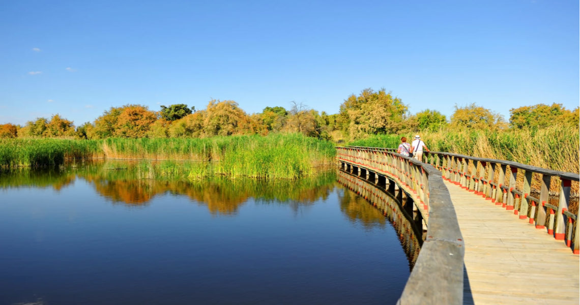 Las Tablas de Daimiel, Ciudad Real