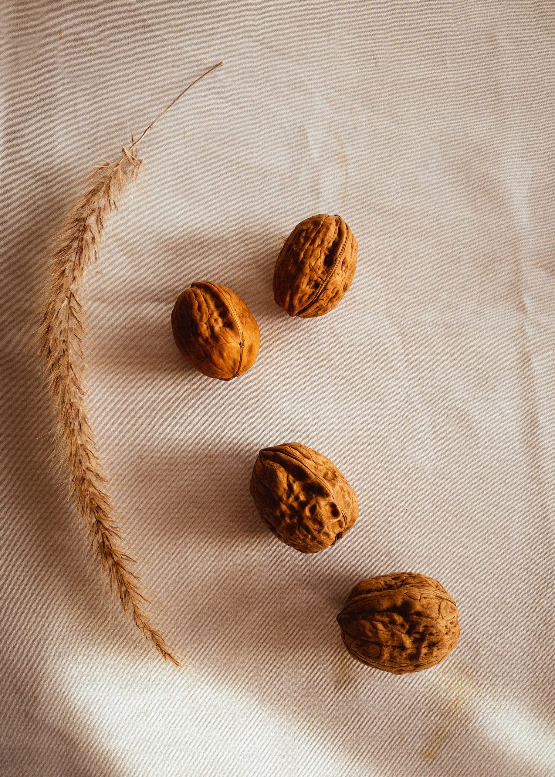 Nueces