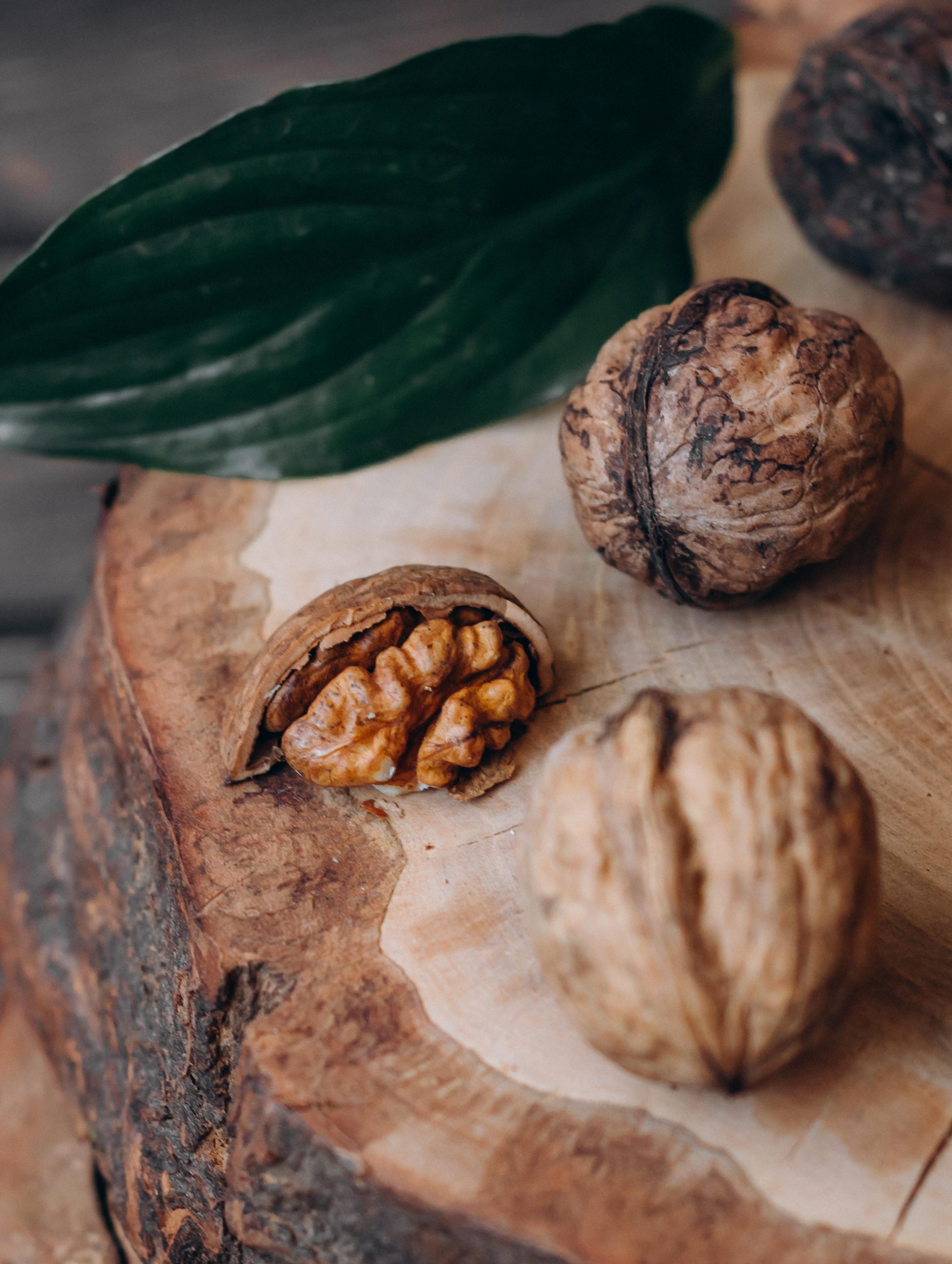 Nueces