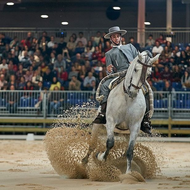madrid horse week