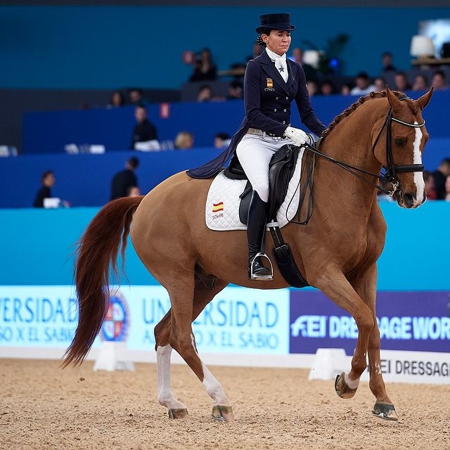 madrid horse week