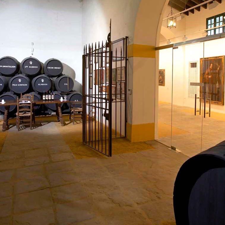 Bodegas Tradici&oacute;n