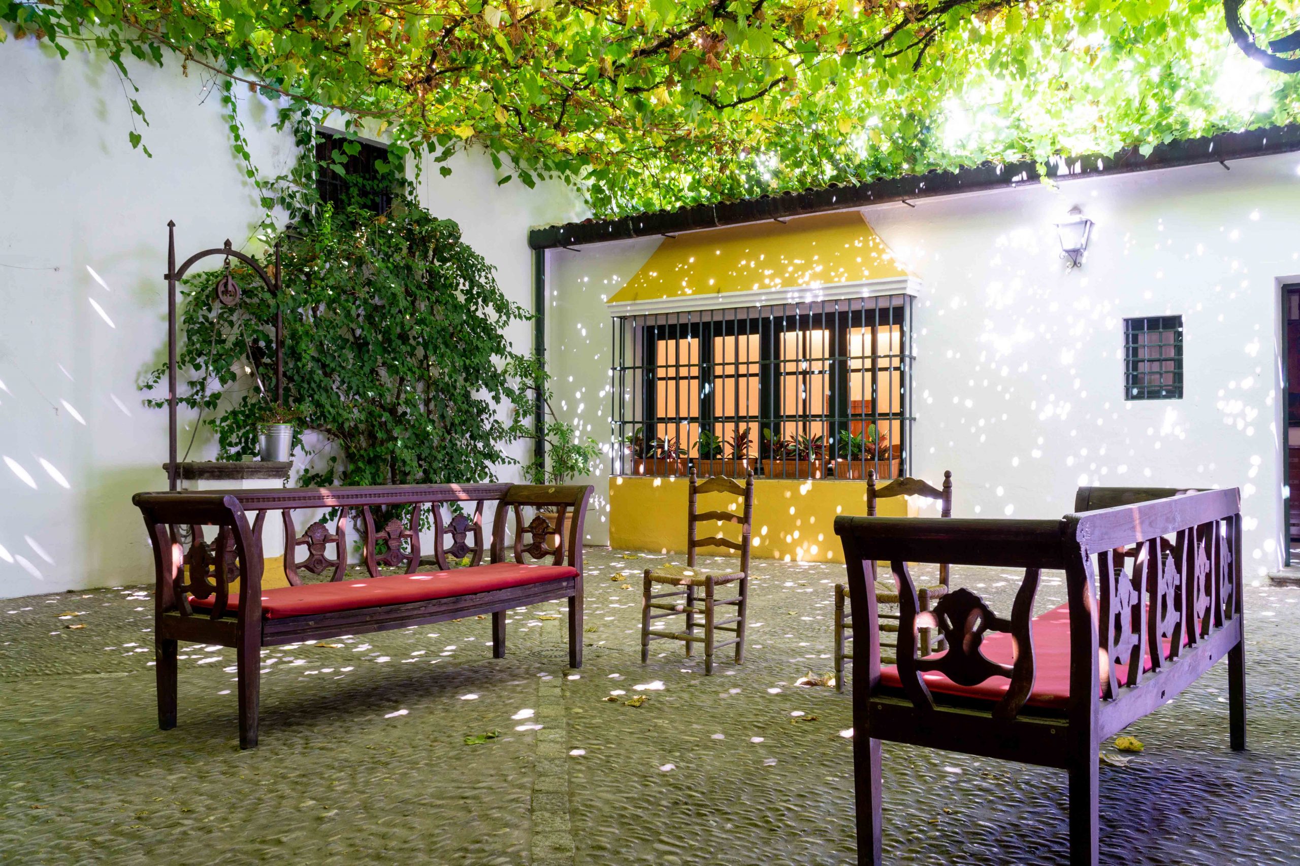 Bodegas Tradici&oacute;n