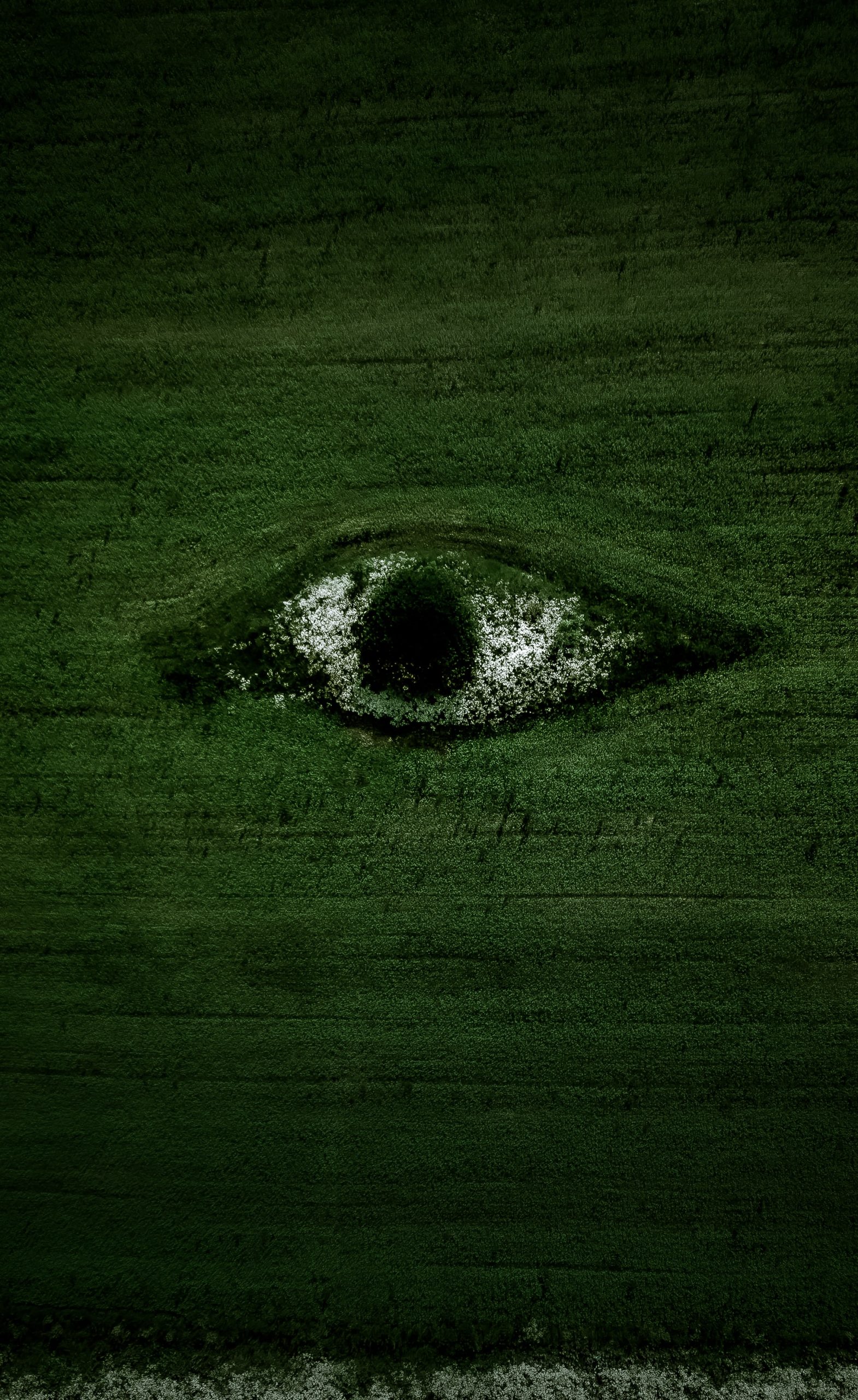Ojo