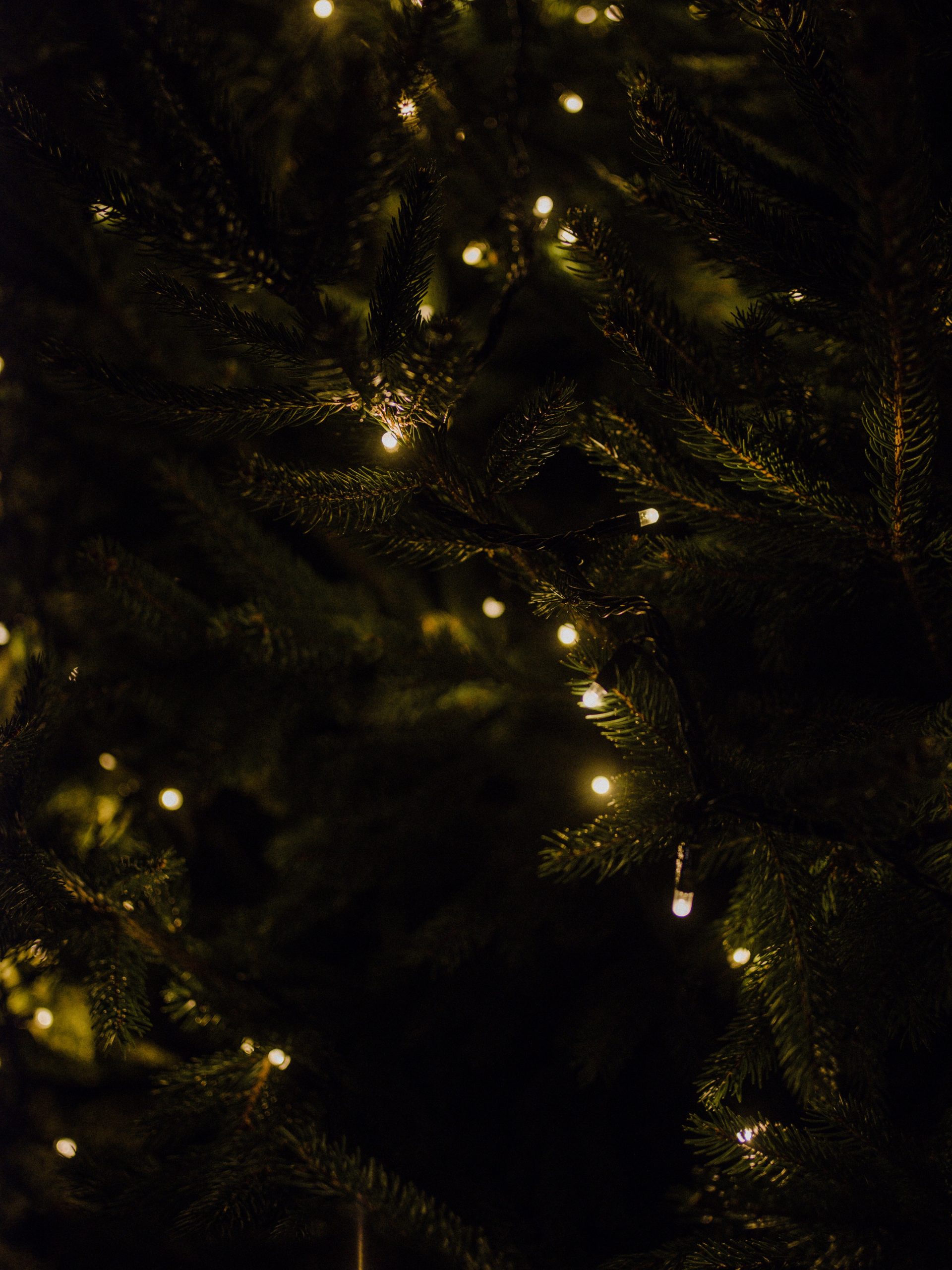 &Aacute;rbol de Navidad