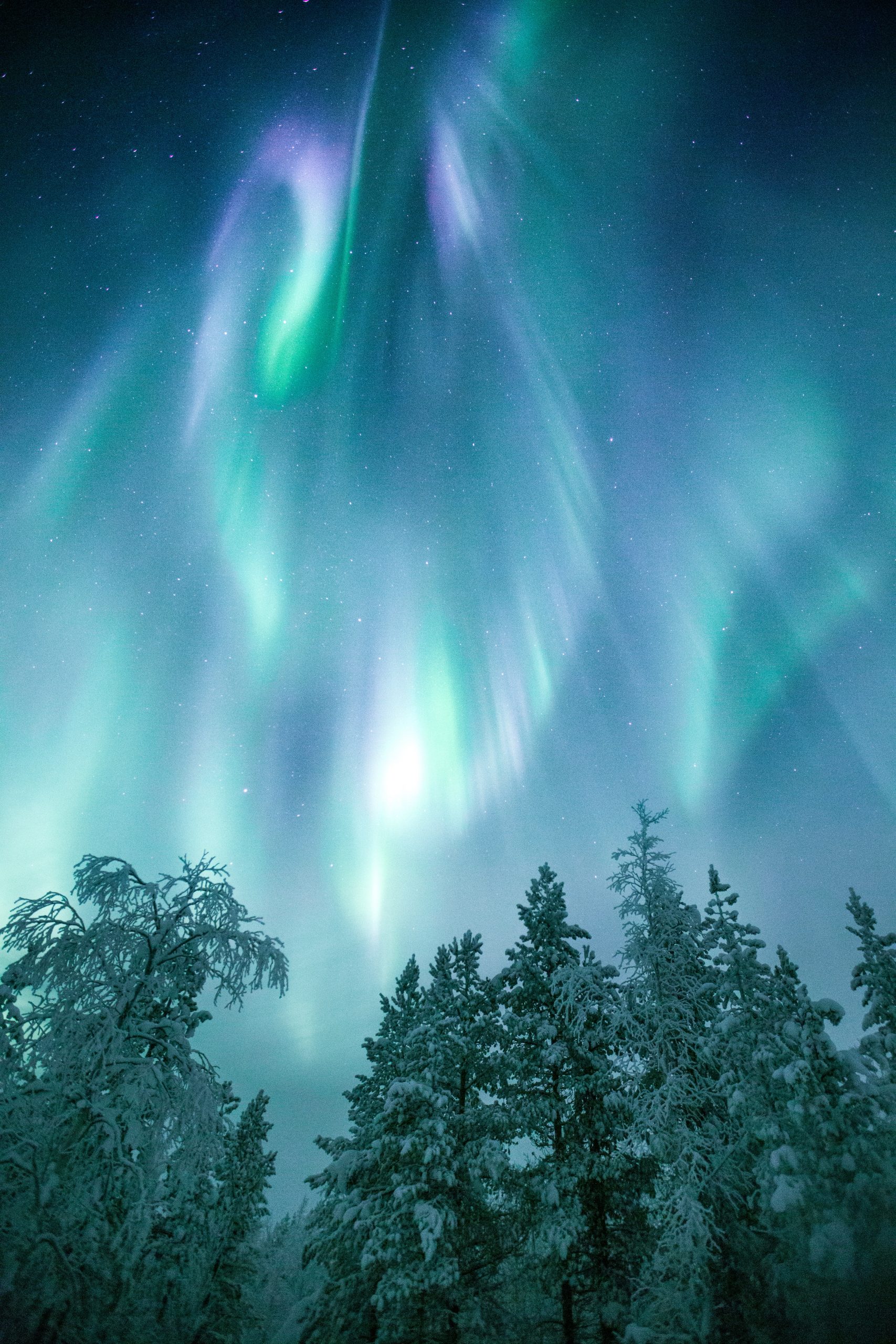 Auroras boreales