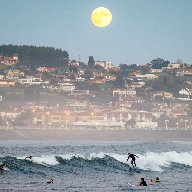 Madrid Surf Film Festival