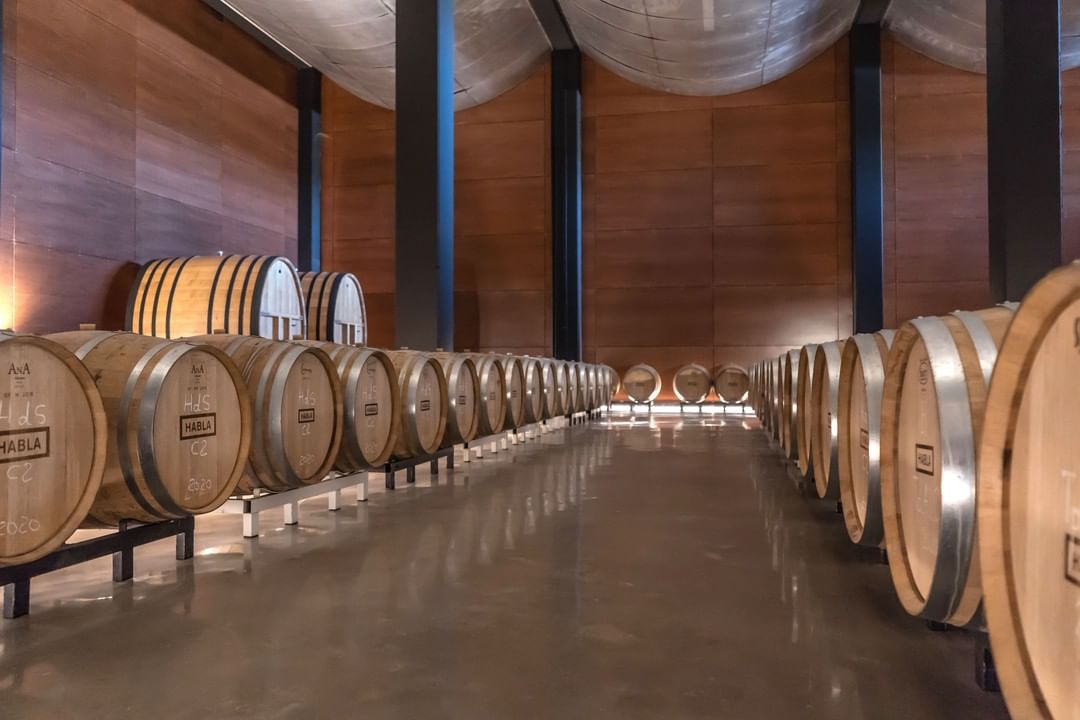 Foto: Bodegas Habla