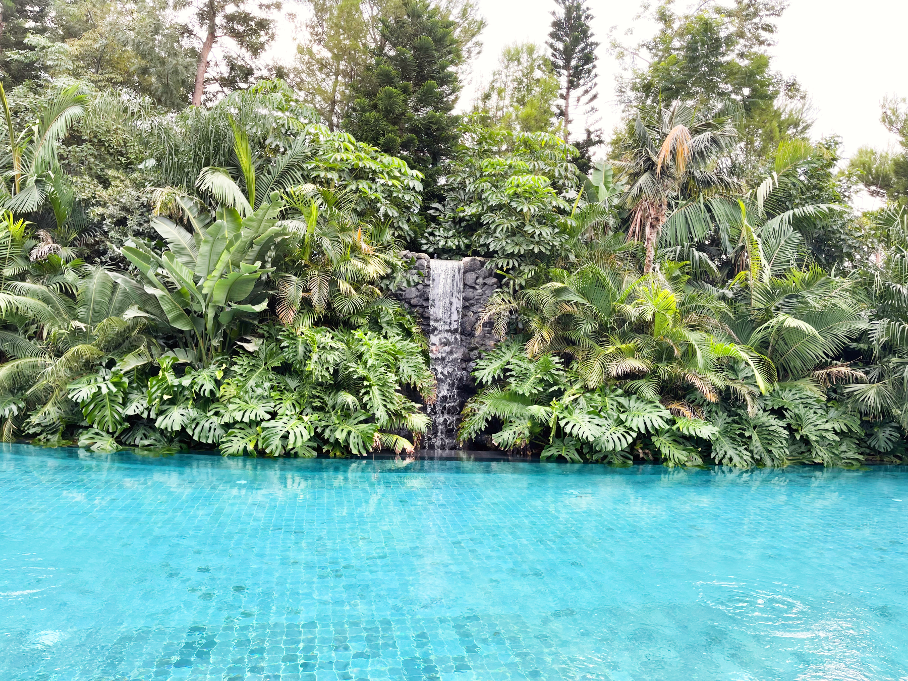 Piscina con cascada en Asia Gardens/Foto: Fina Grosso