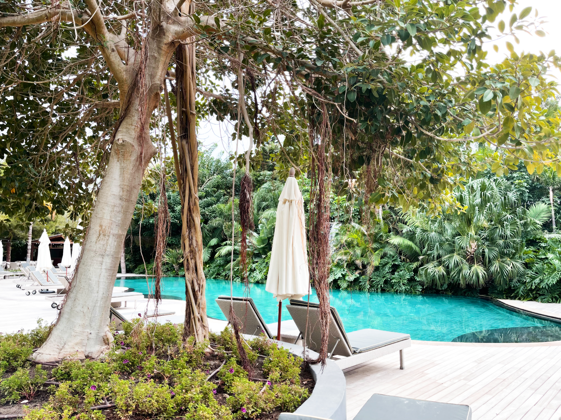 Rincones de Asia Gardens/Fina Grosso