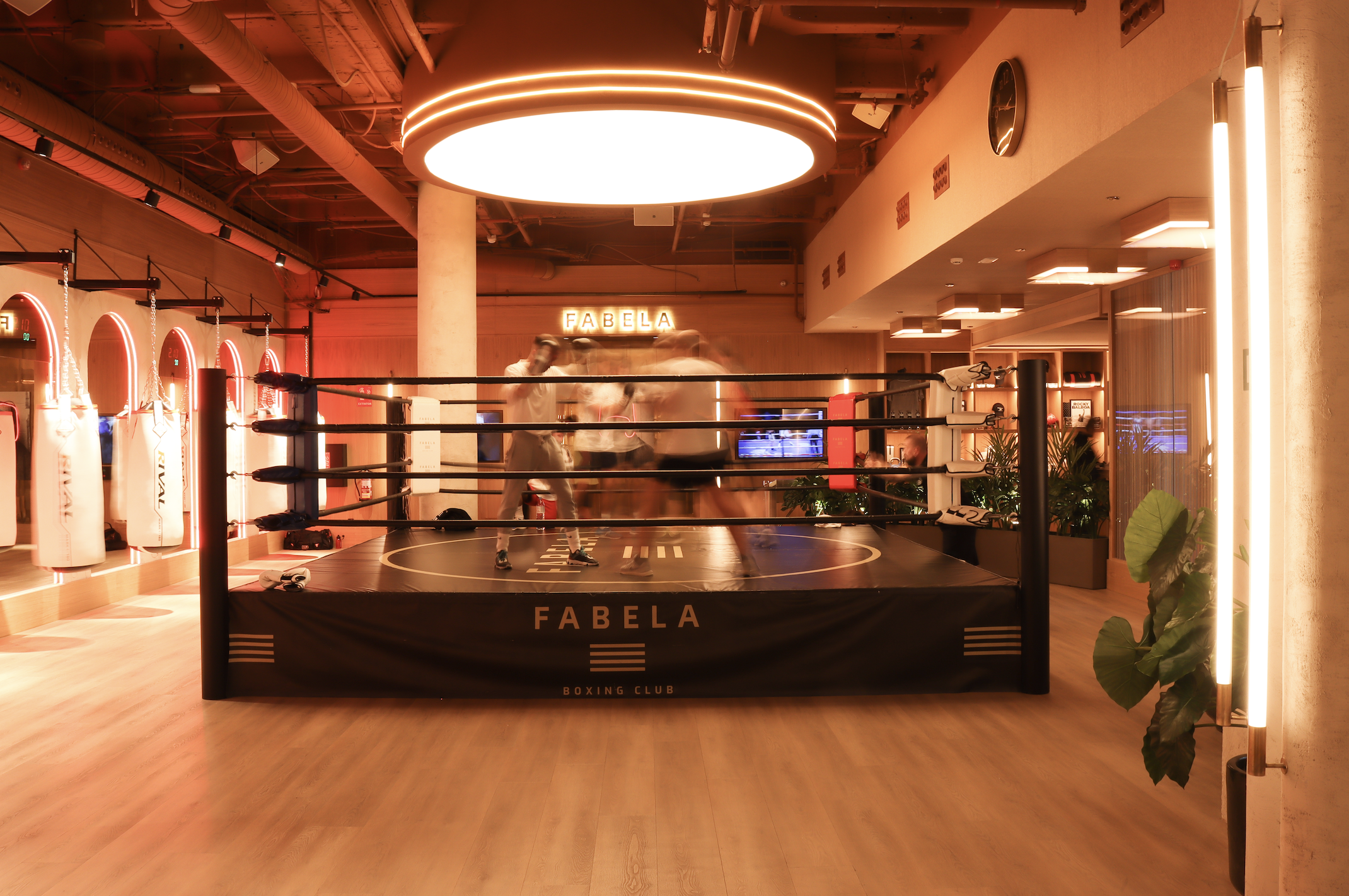Foto: Fabela Boxing Club
