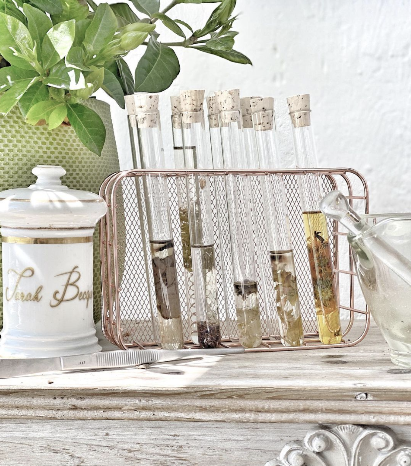 Productos de belleza Sarah Becquer