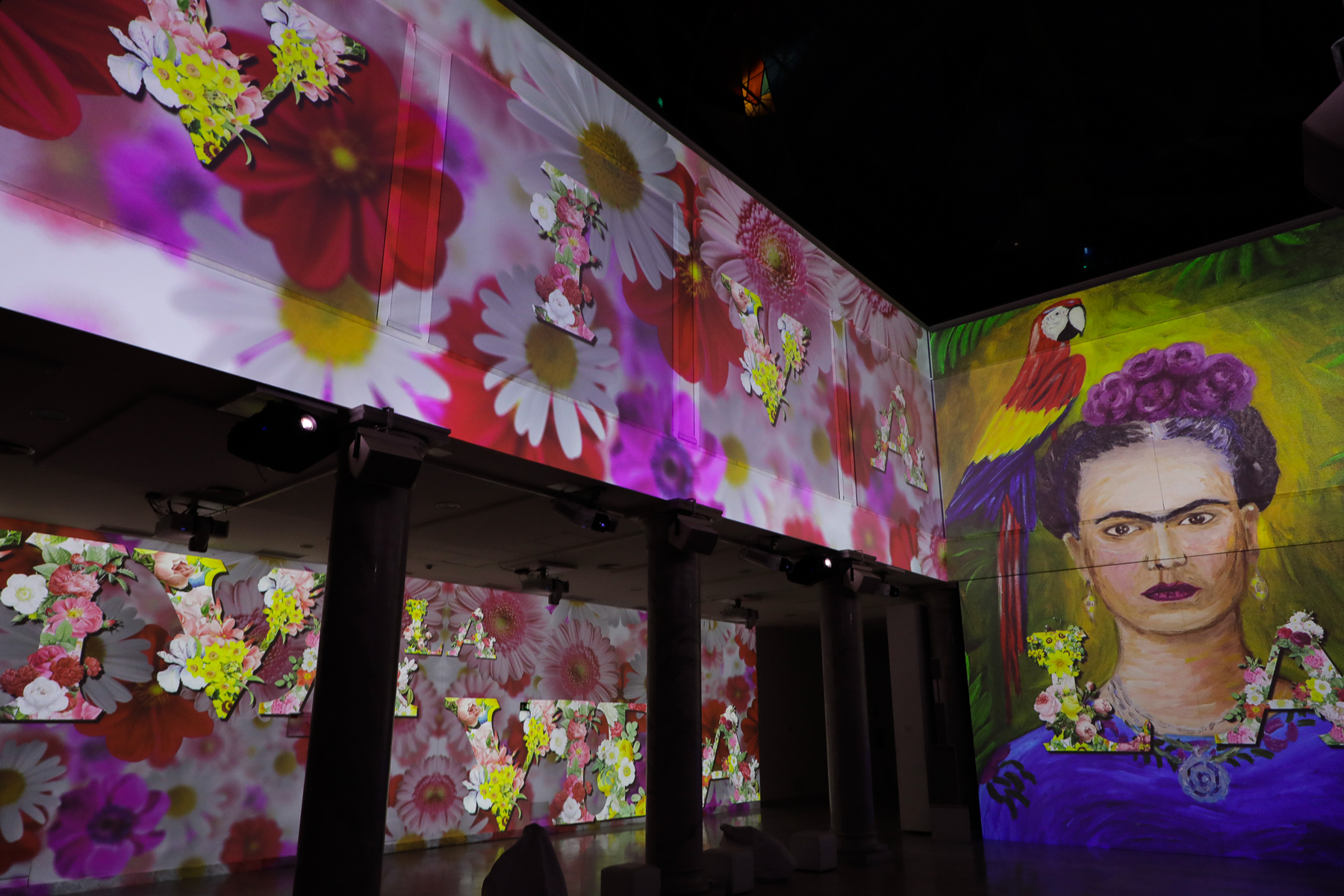 Exposici&oacute;n Frida Kahlo
