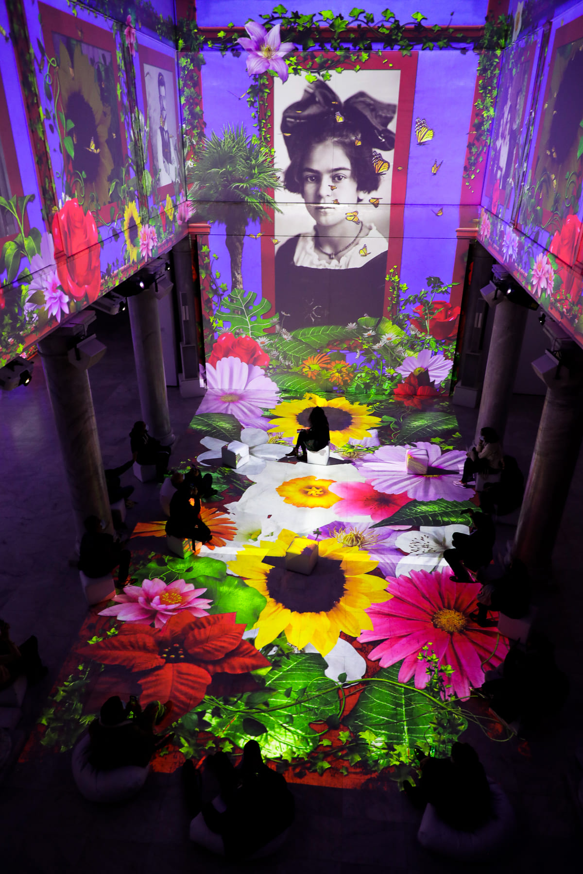 Exposici&oacute;n Frida Kahlo