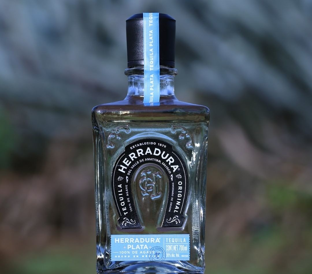 Herradura plata