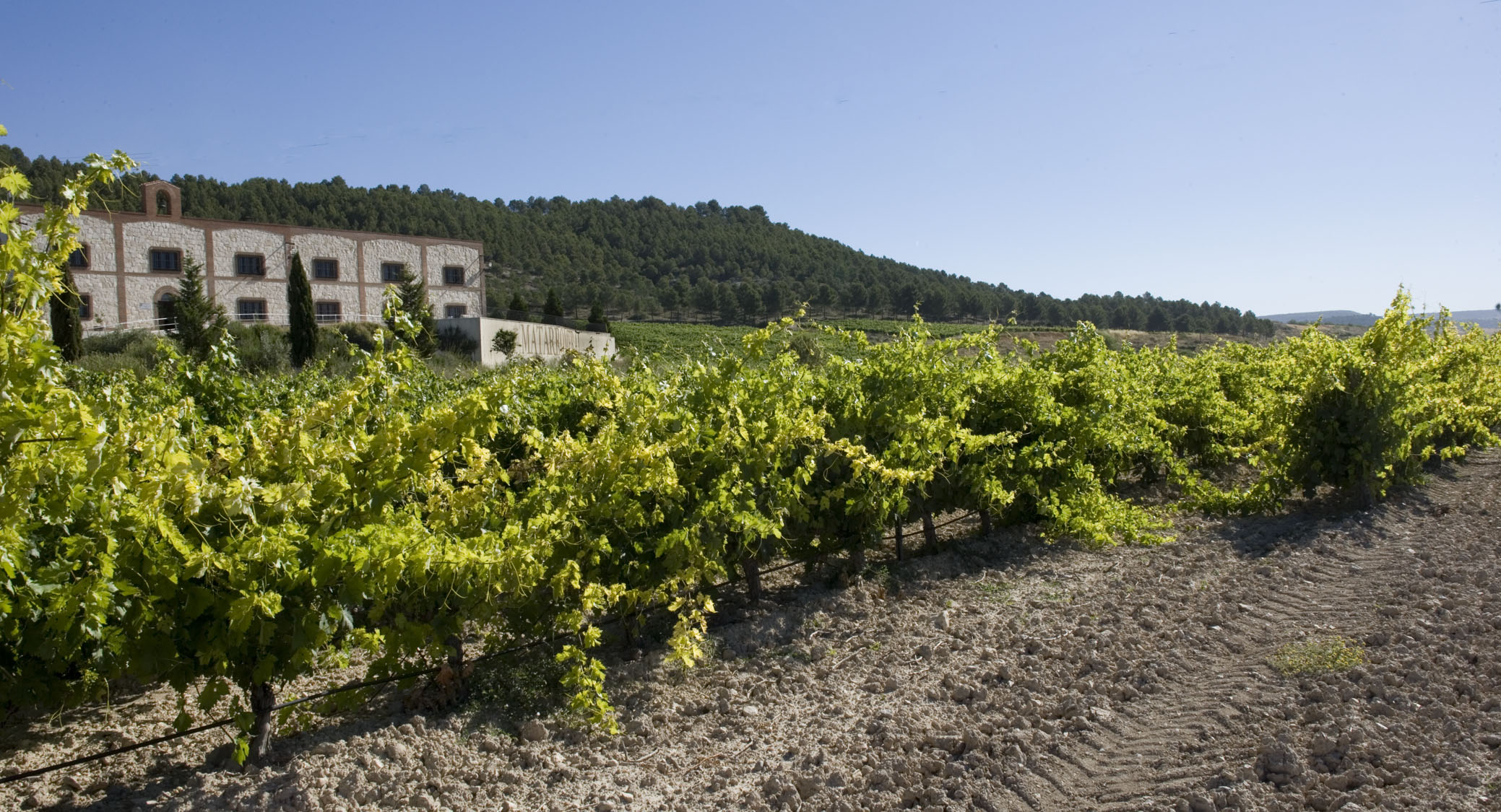 Matarromera