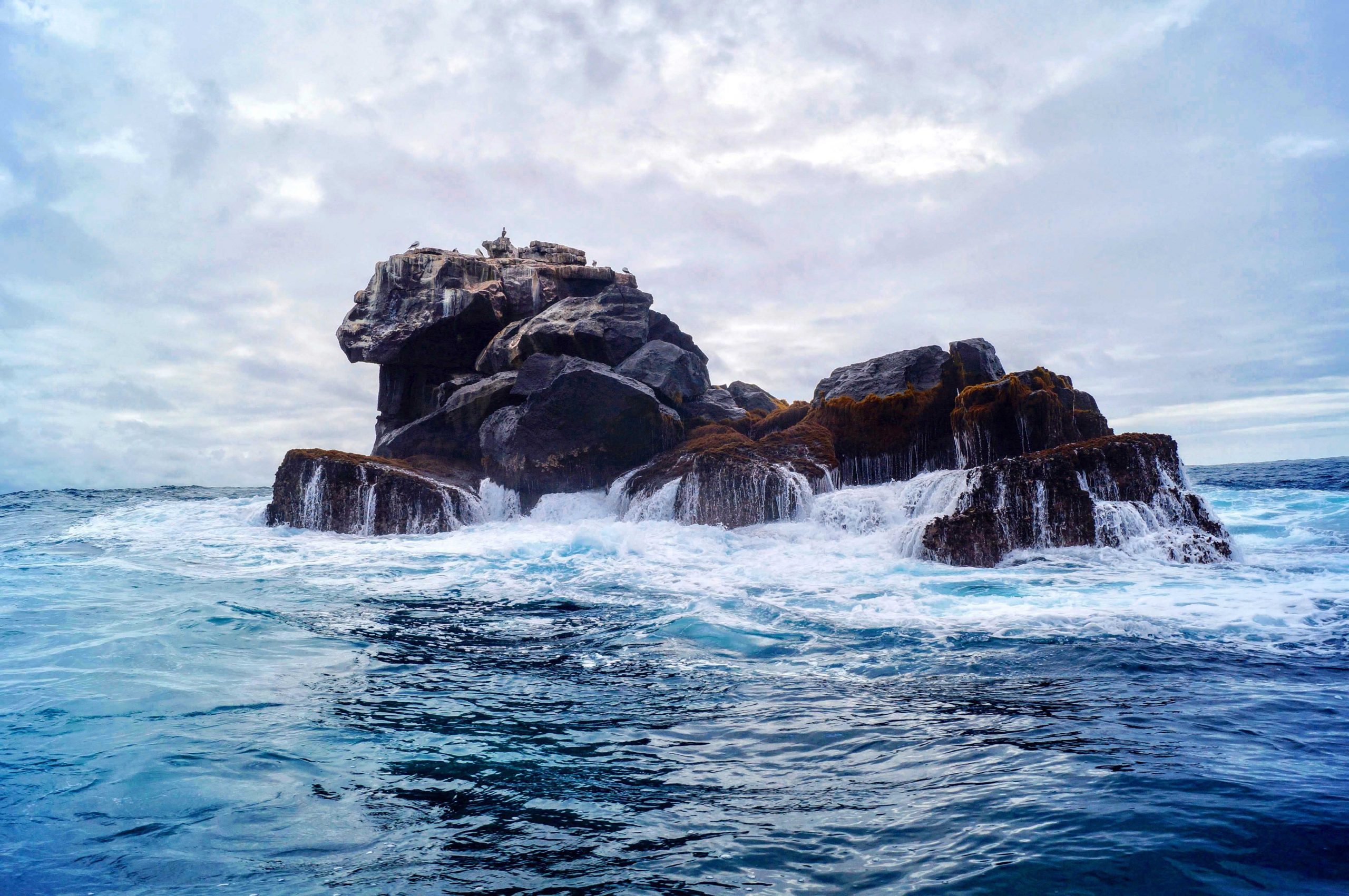 Gal&aacute;pagos / Unsplash