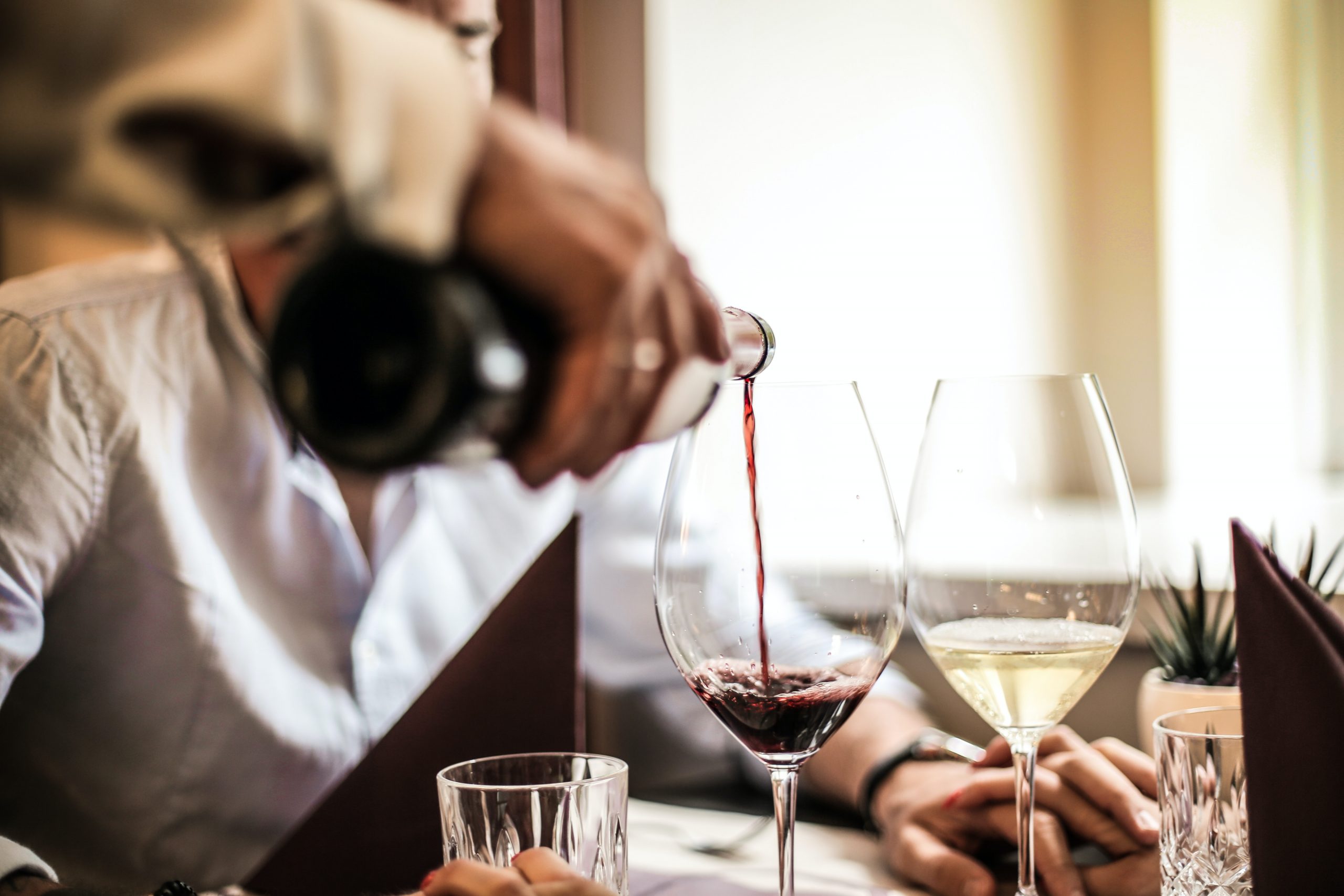 libro vino