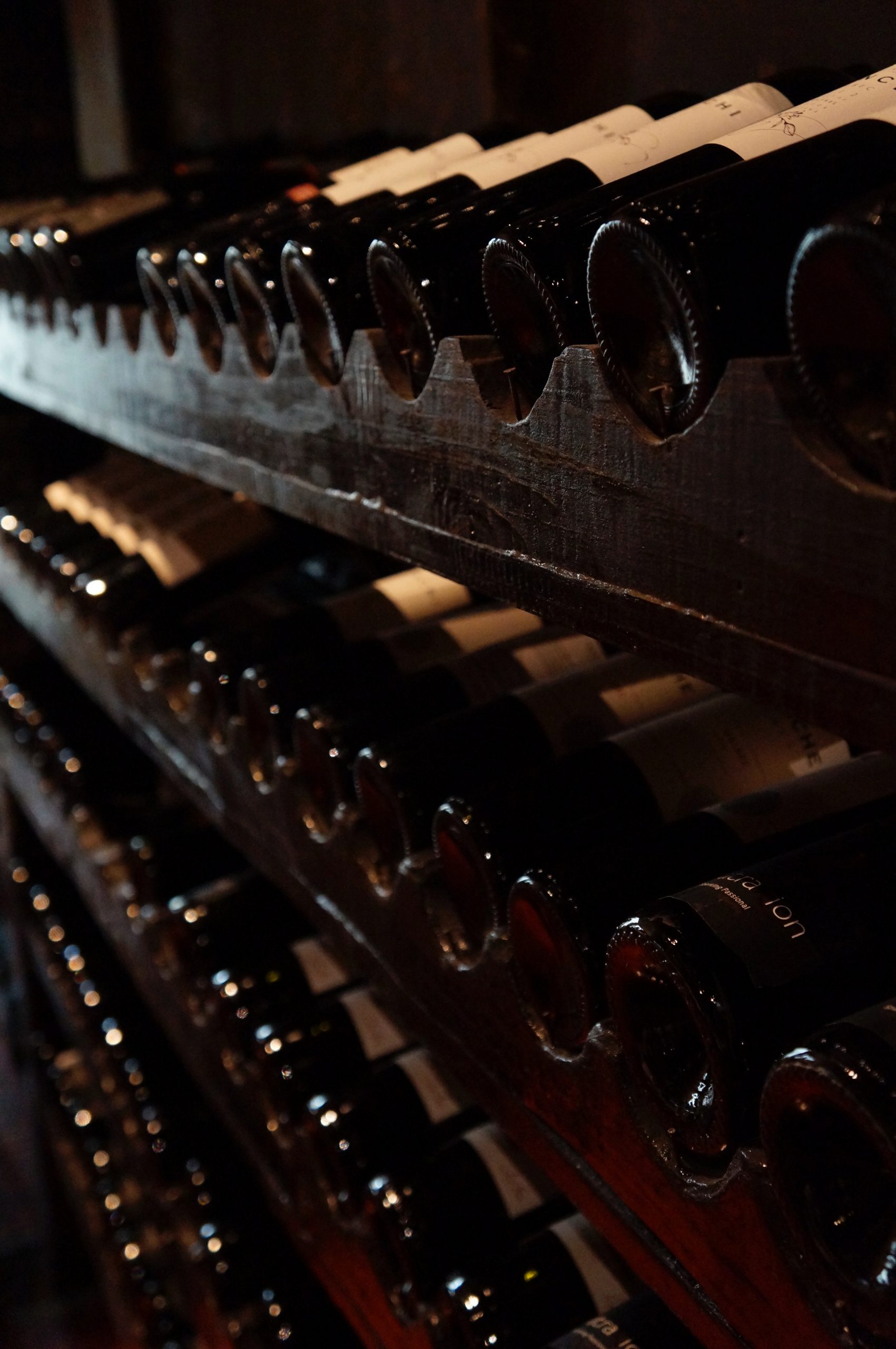 vino libro