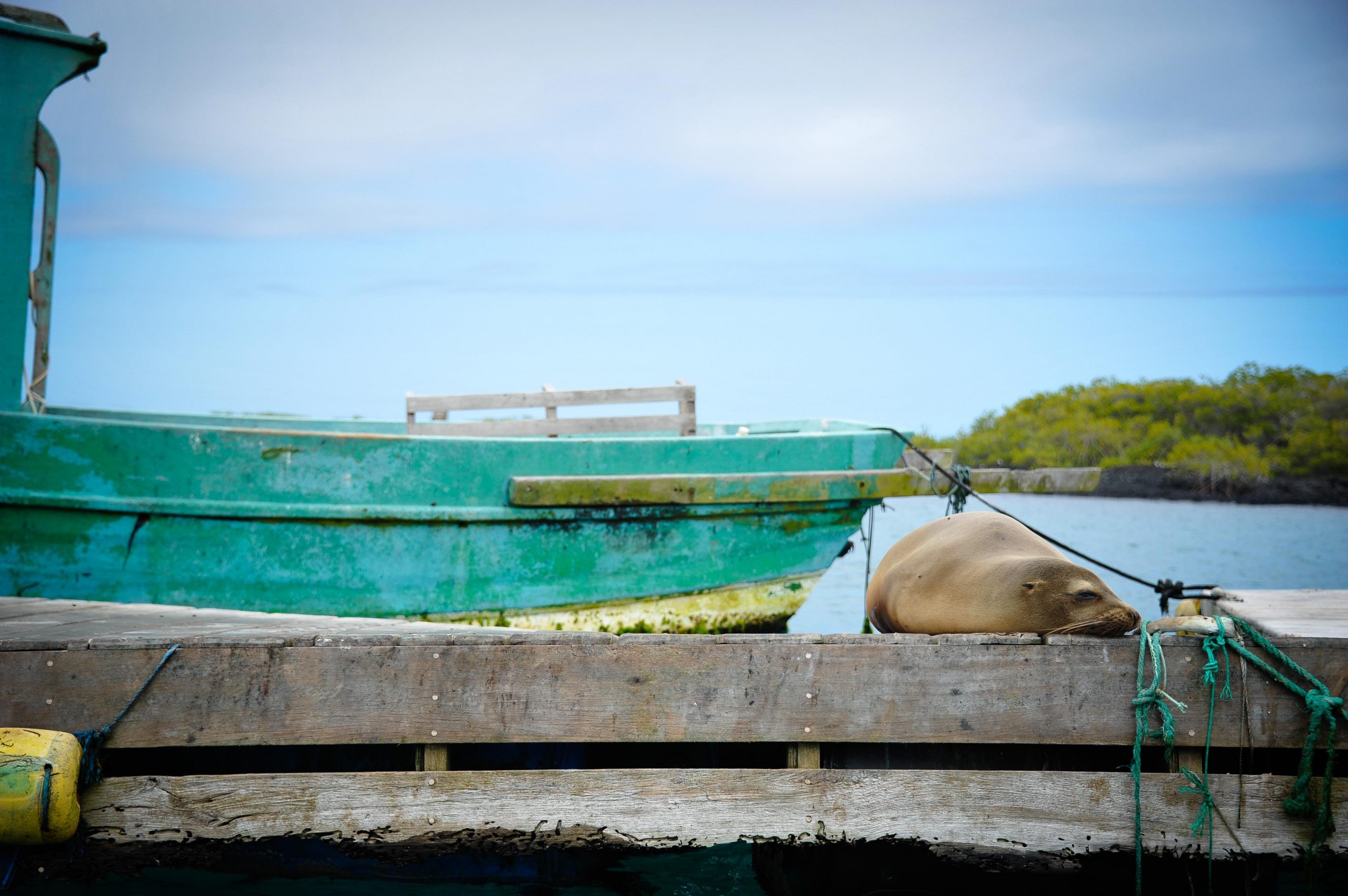 Gal&aacute;pagos / Unsplash