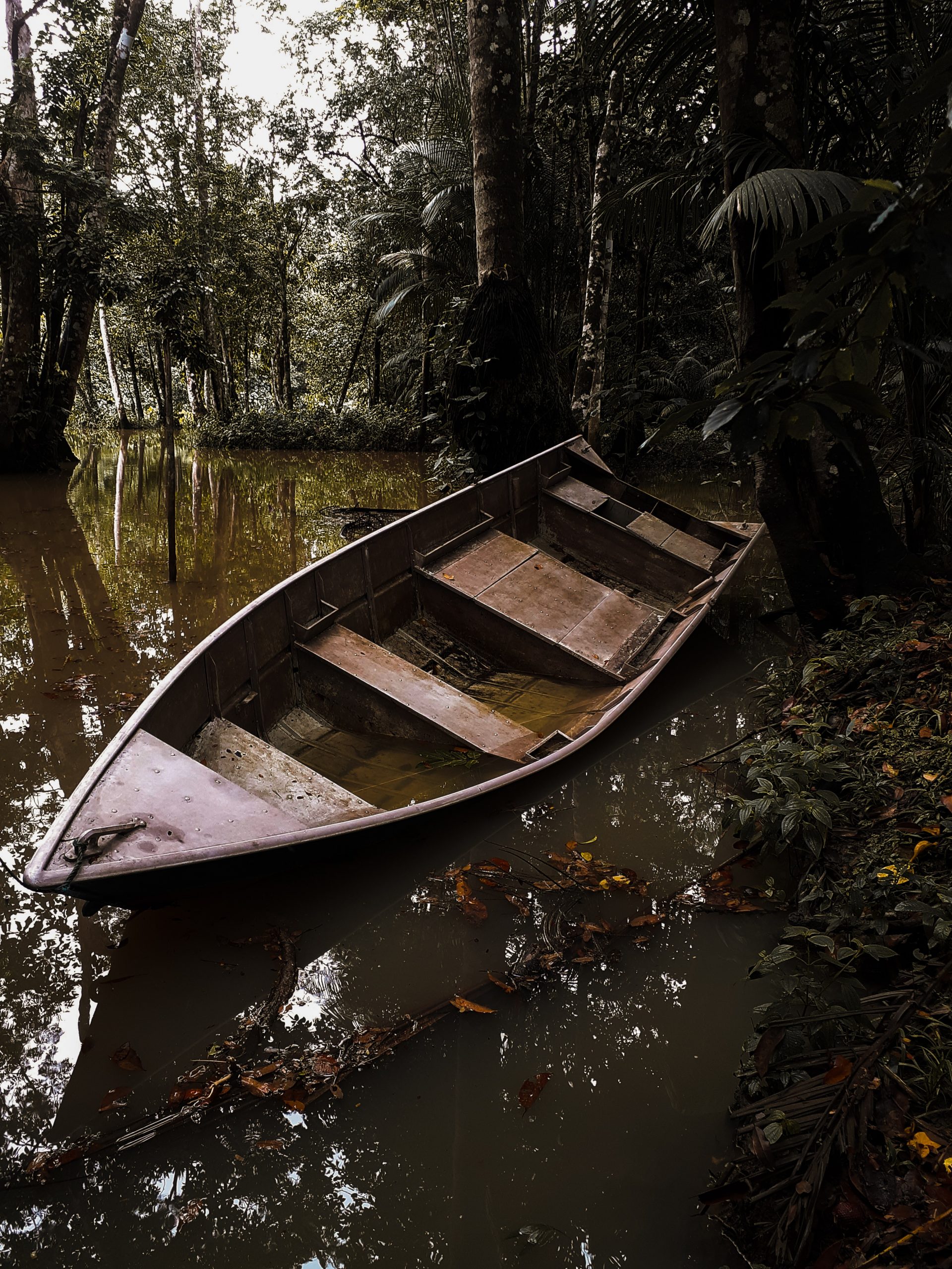 La Amazonia