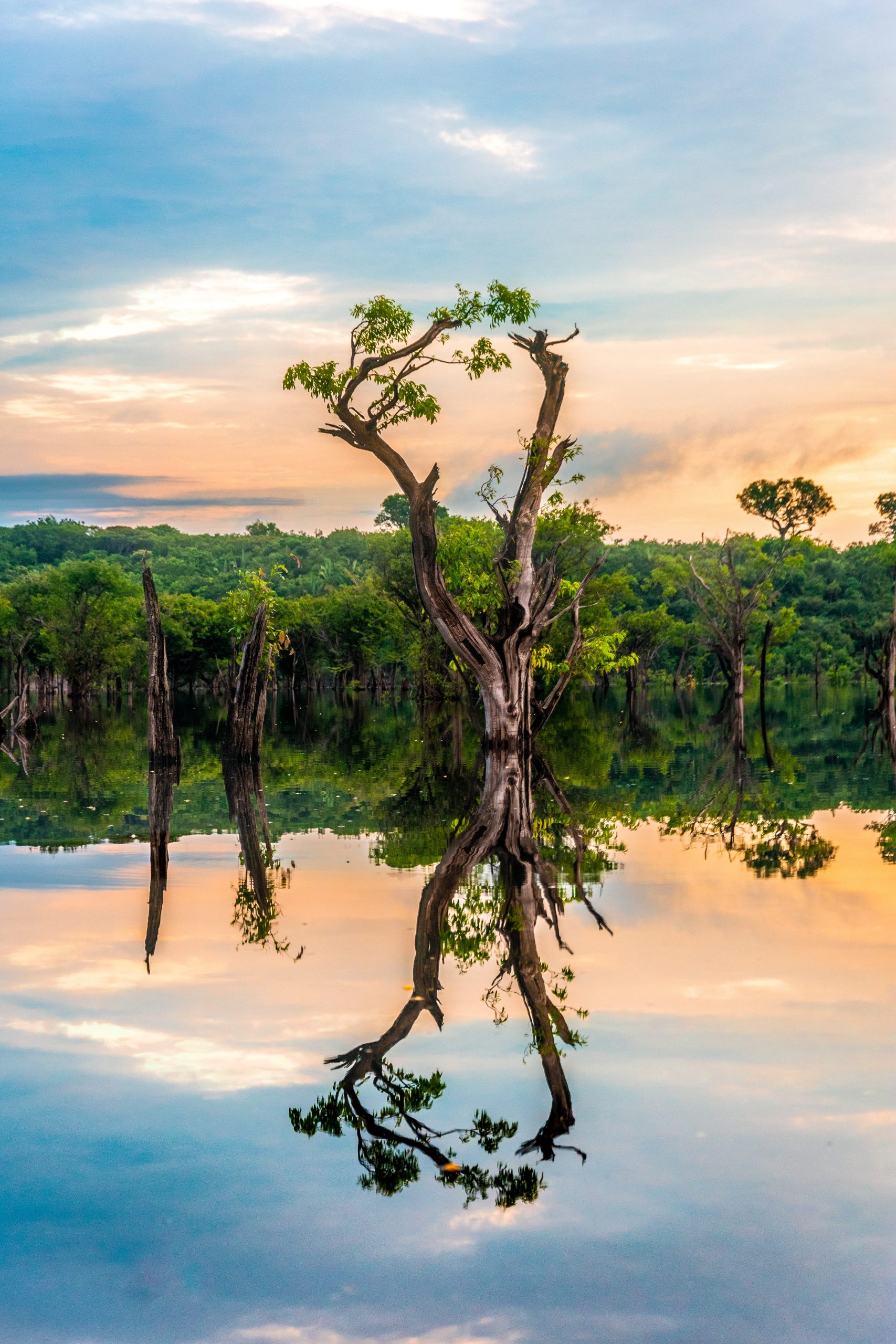 La Amazonia