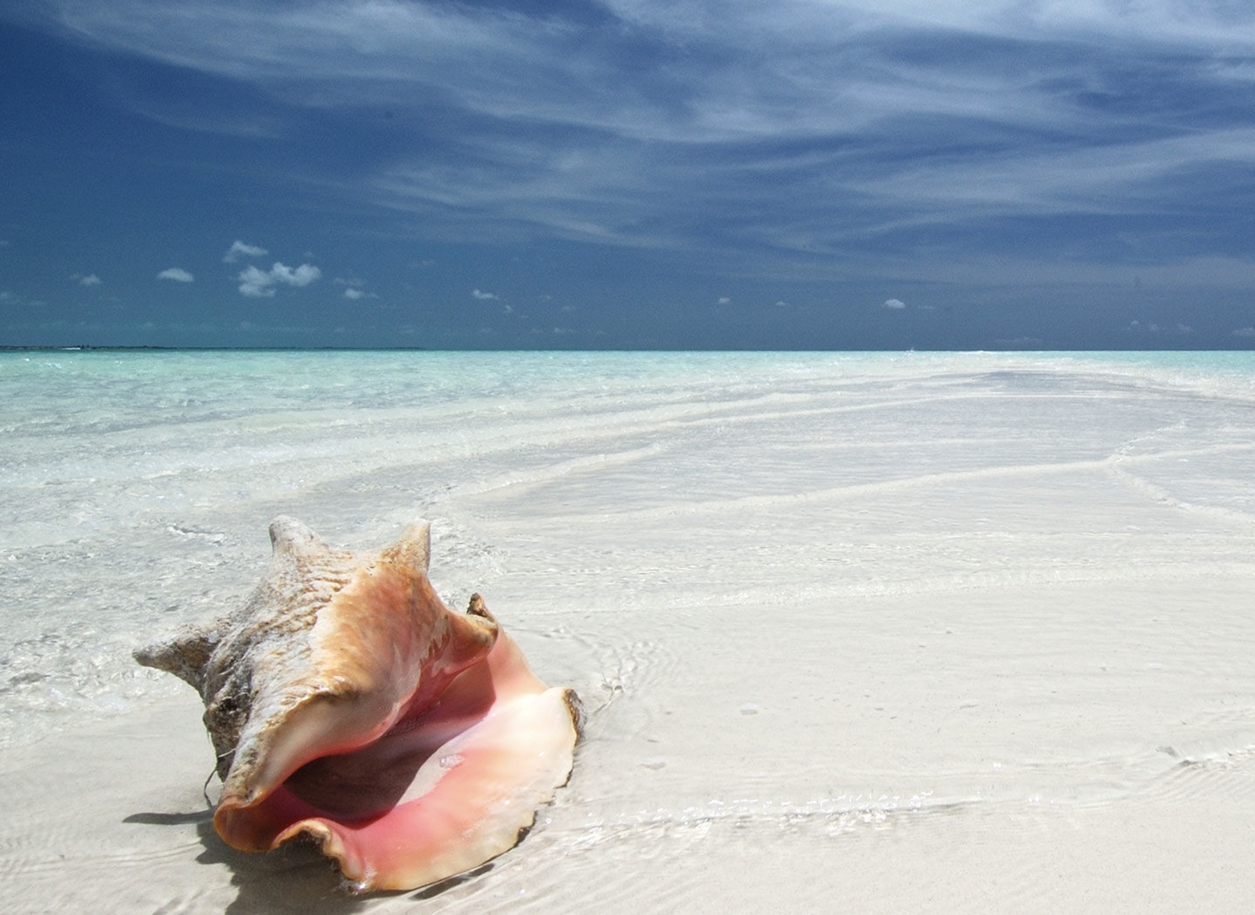 La isla privada del Caribe Pine Cay/Foto: Pine Cay