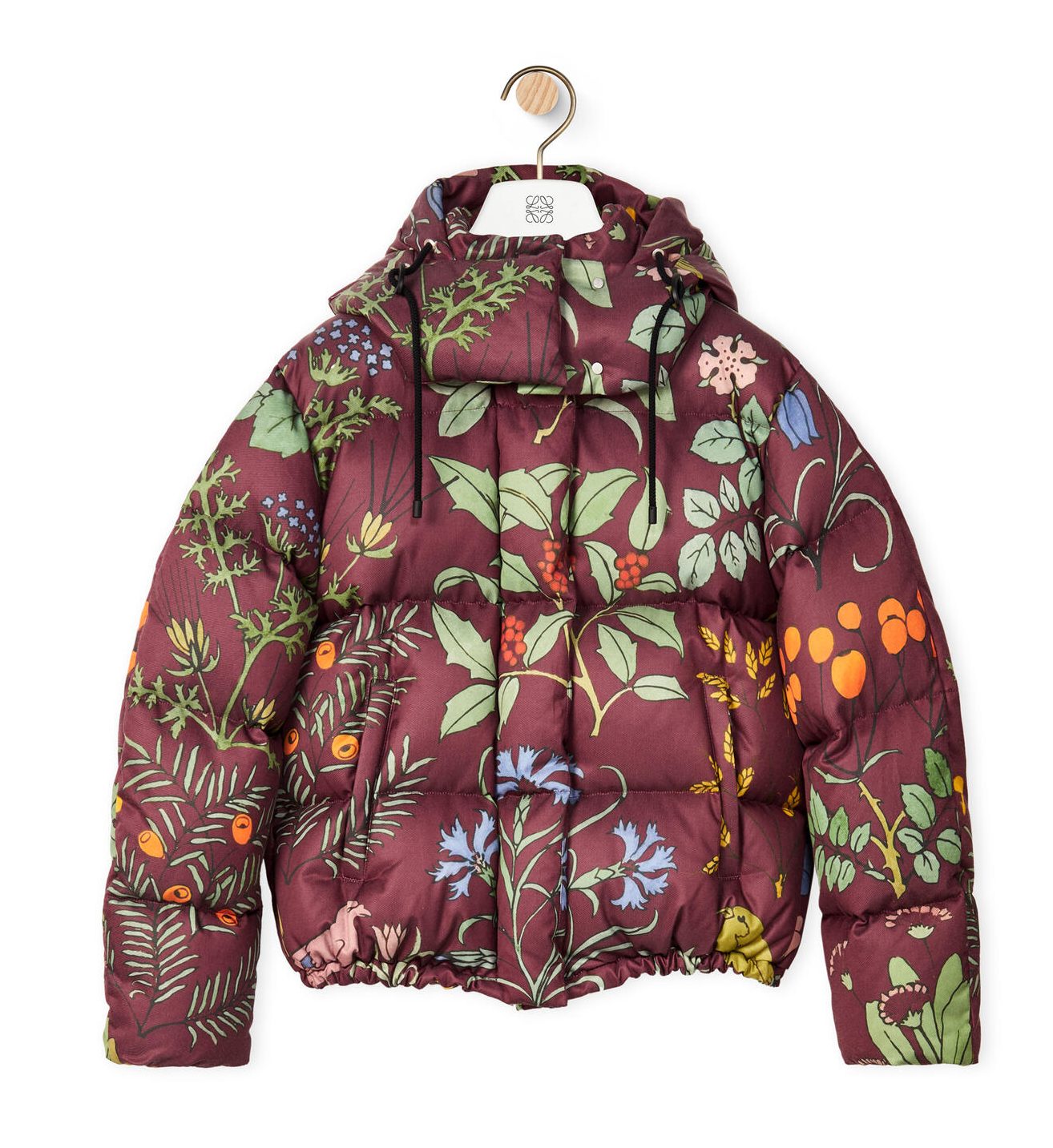 Plumífero / Loewe