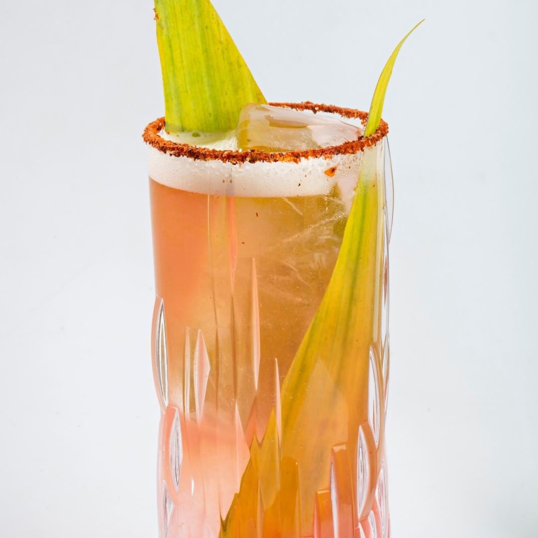 Paloma Pandan / Foto: @salmonguru