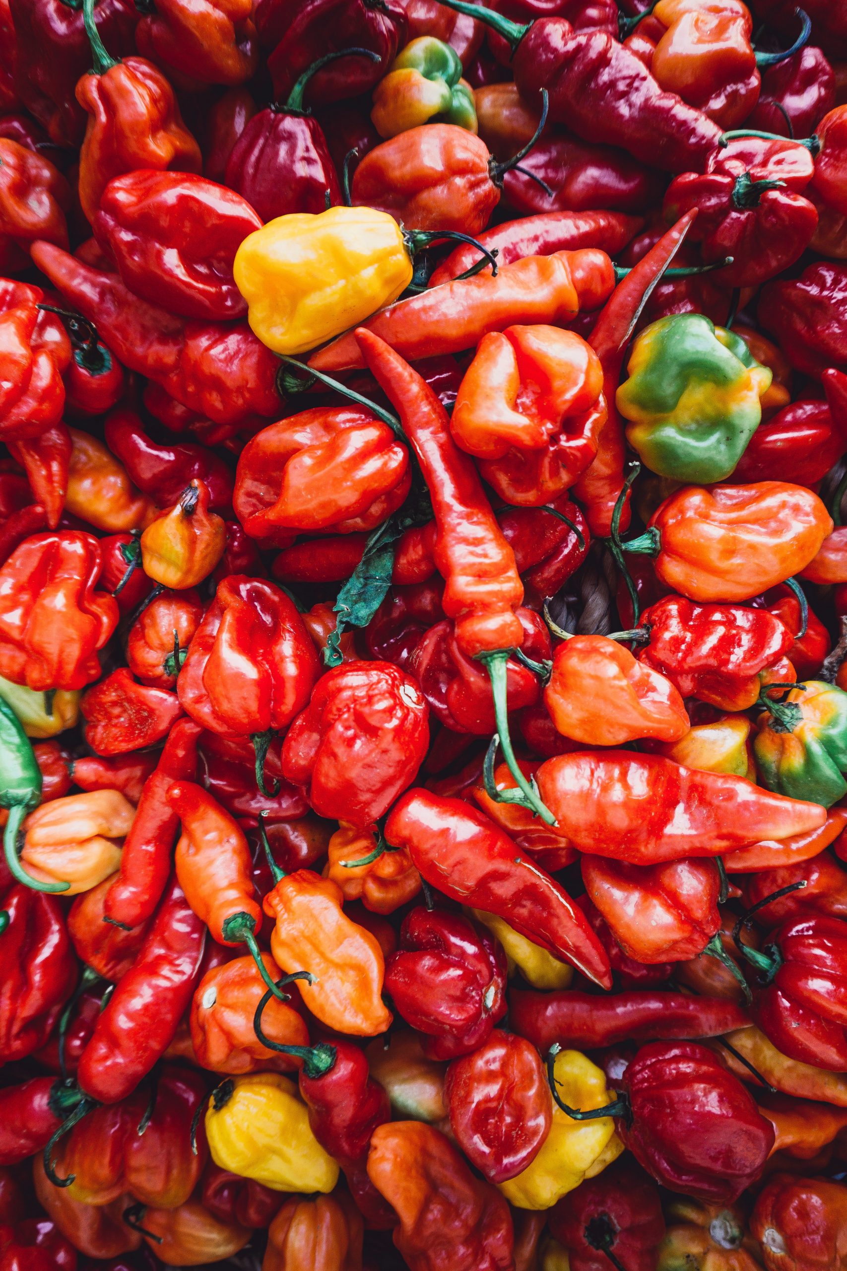 Chilis