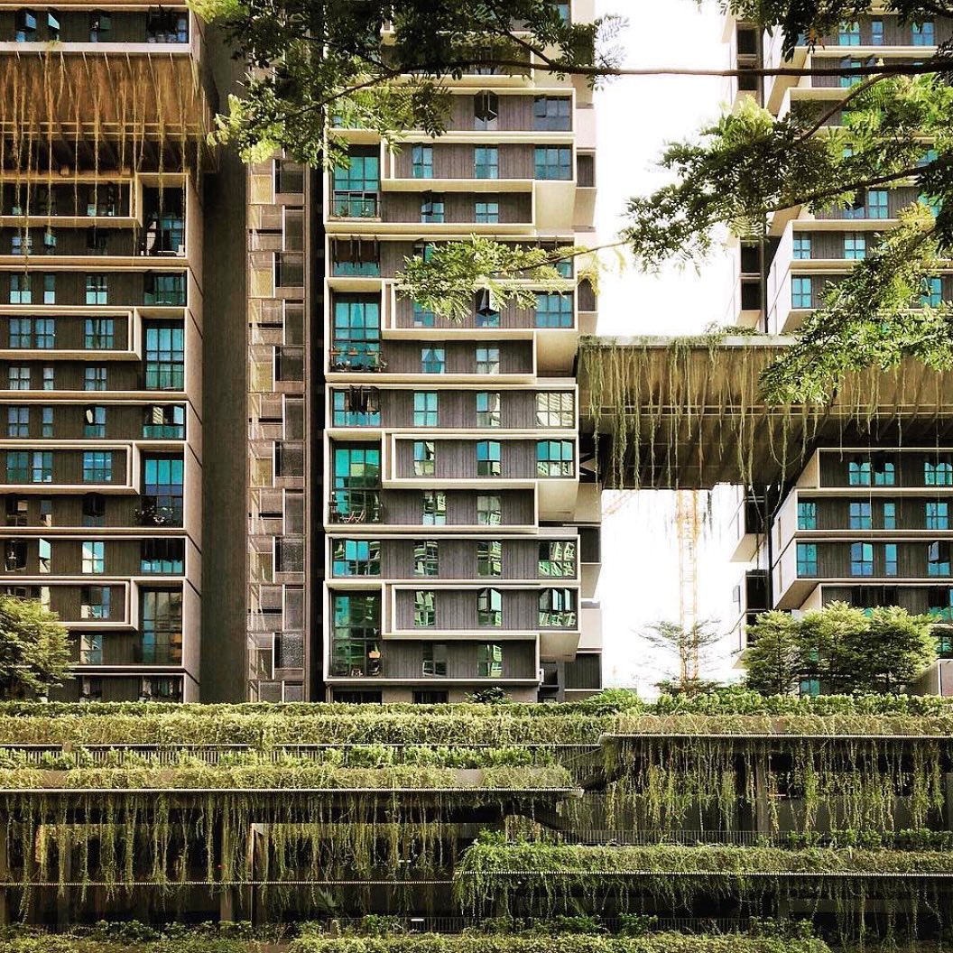 interioristas arquitectos asi&aacute;ticos