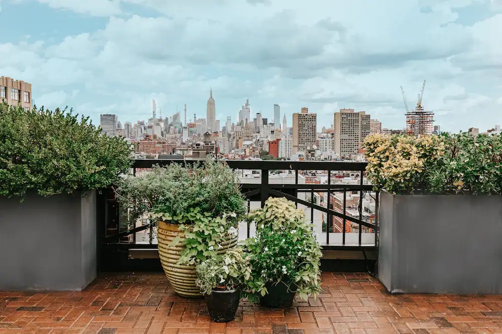 rooftops nueva york