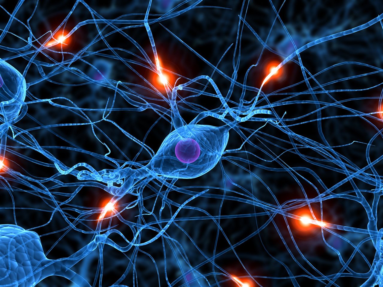 Neuronas