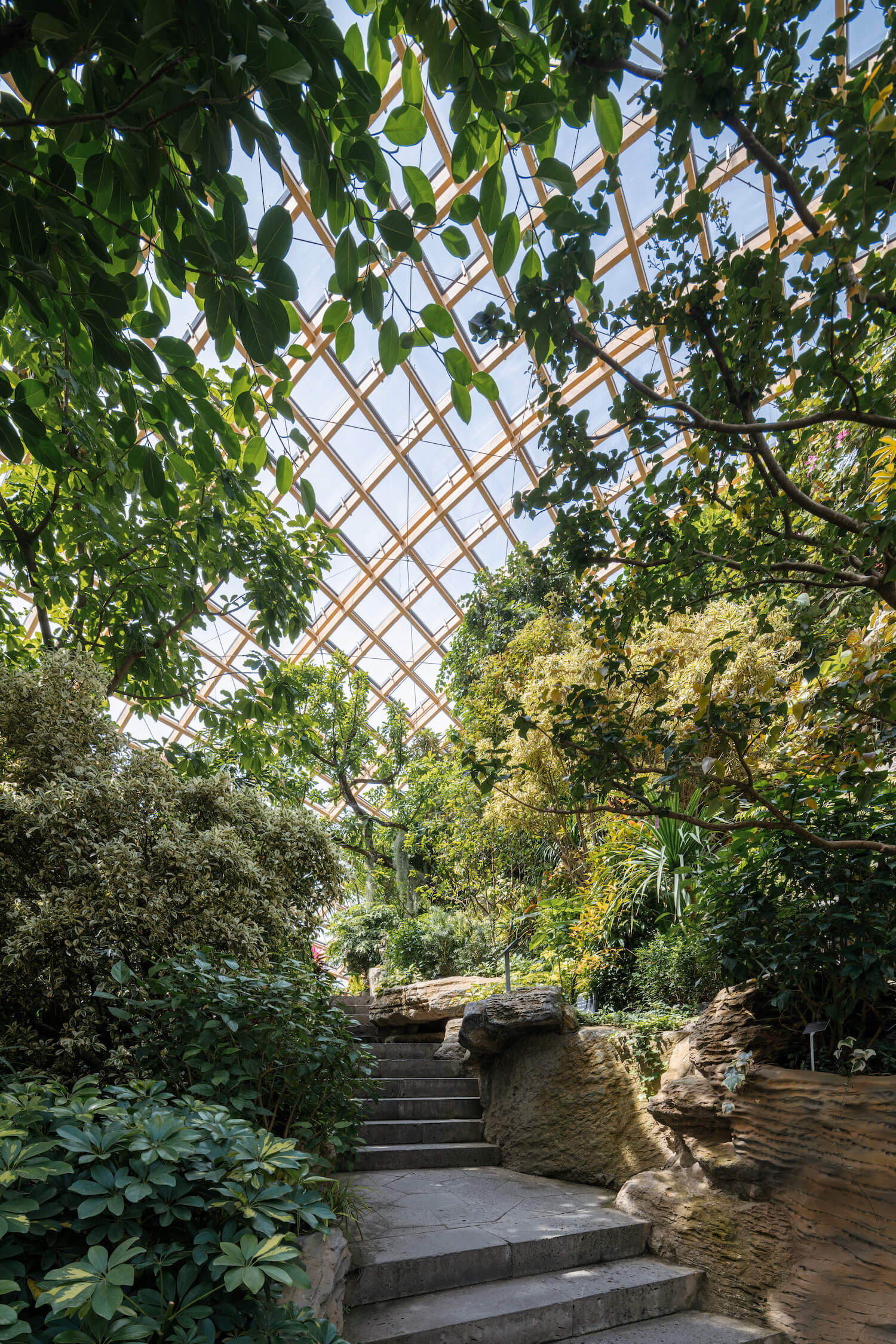 Jardín botánico de Taiyuán