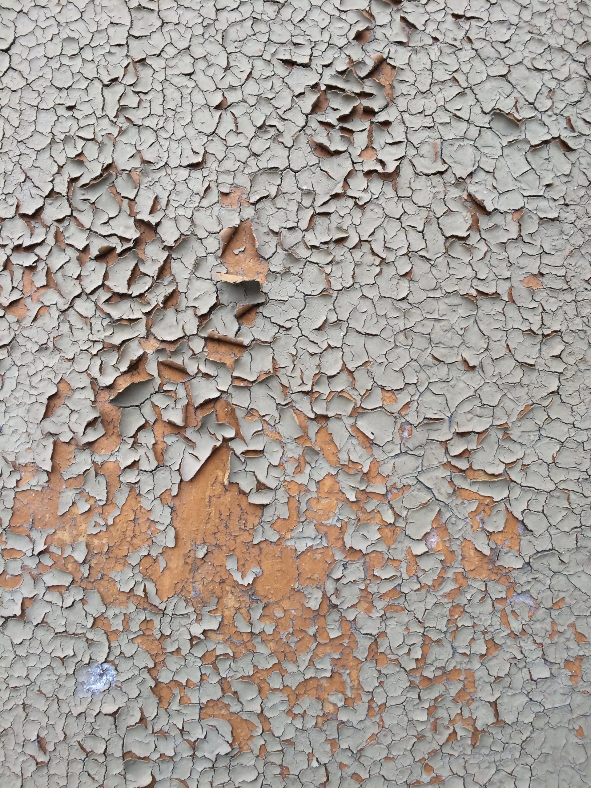 Pared