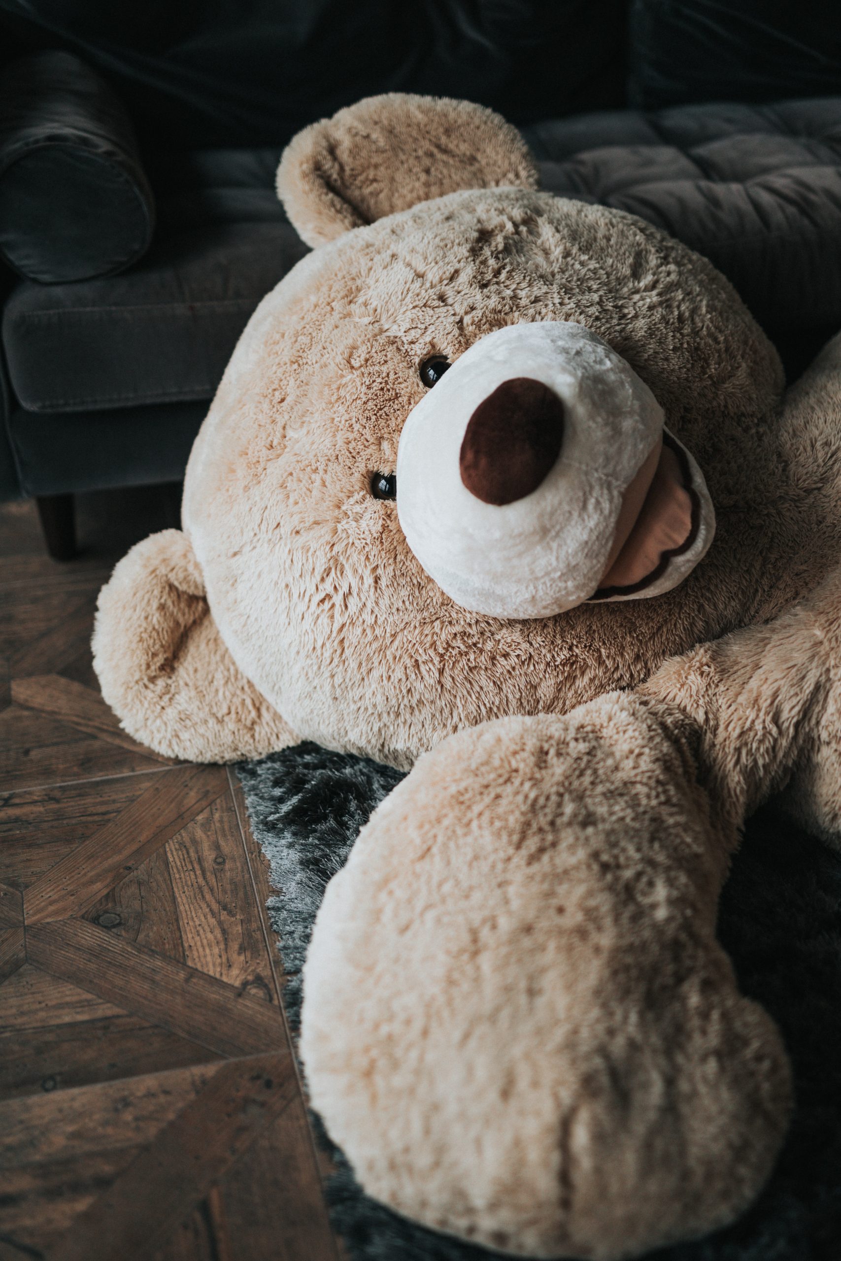Oso de peluche