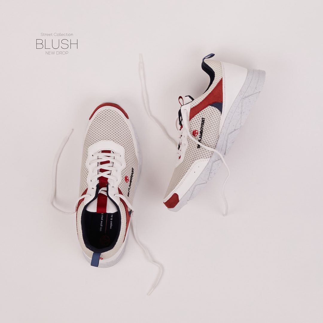 Zapatillas