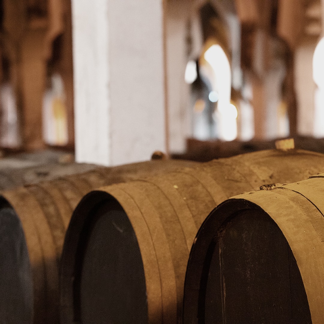 Bodegas Fundador