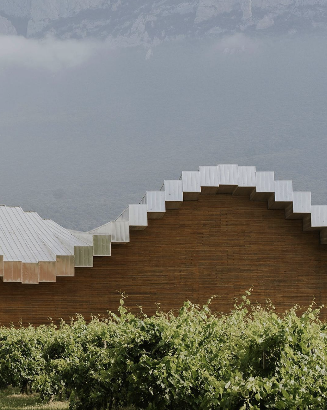 Bodegas Ysios