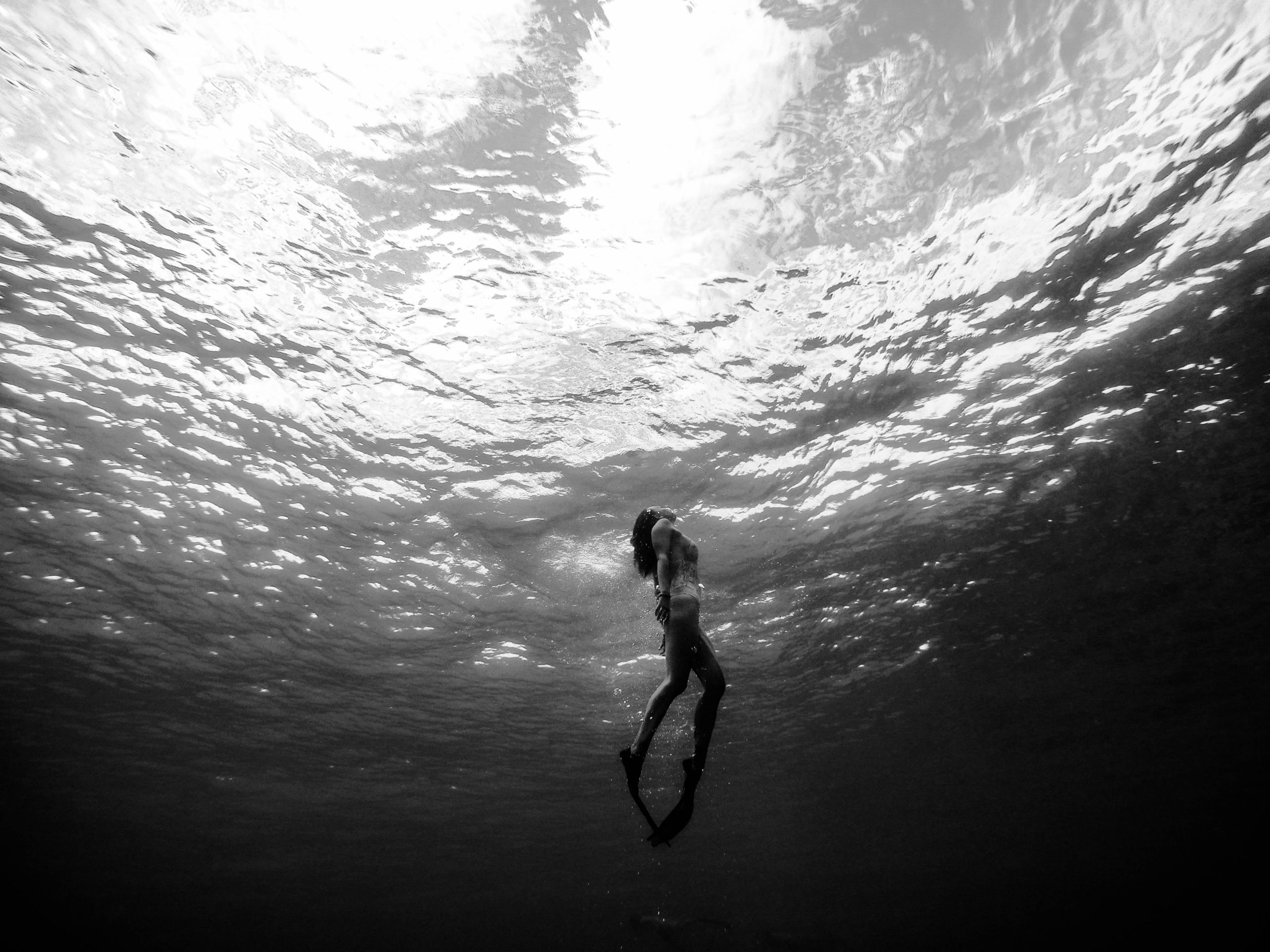 Nataci&oacute;n