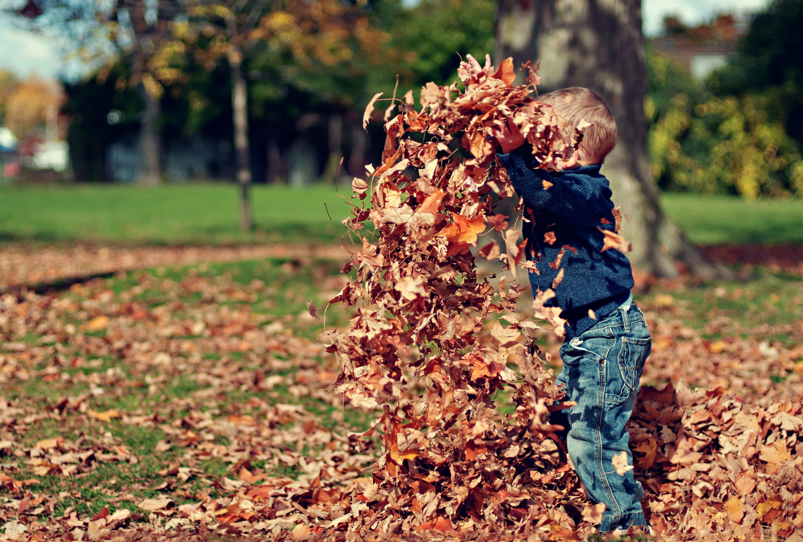 Ni&ntilde;o jugando