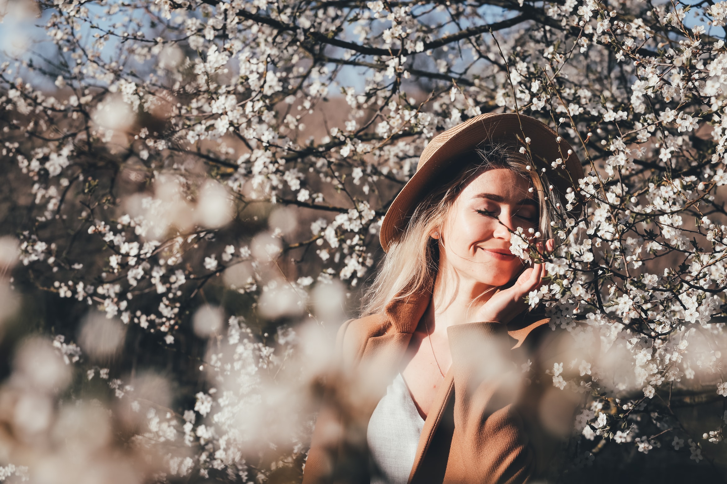 Belleza primavera/Foto: Unsplash