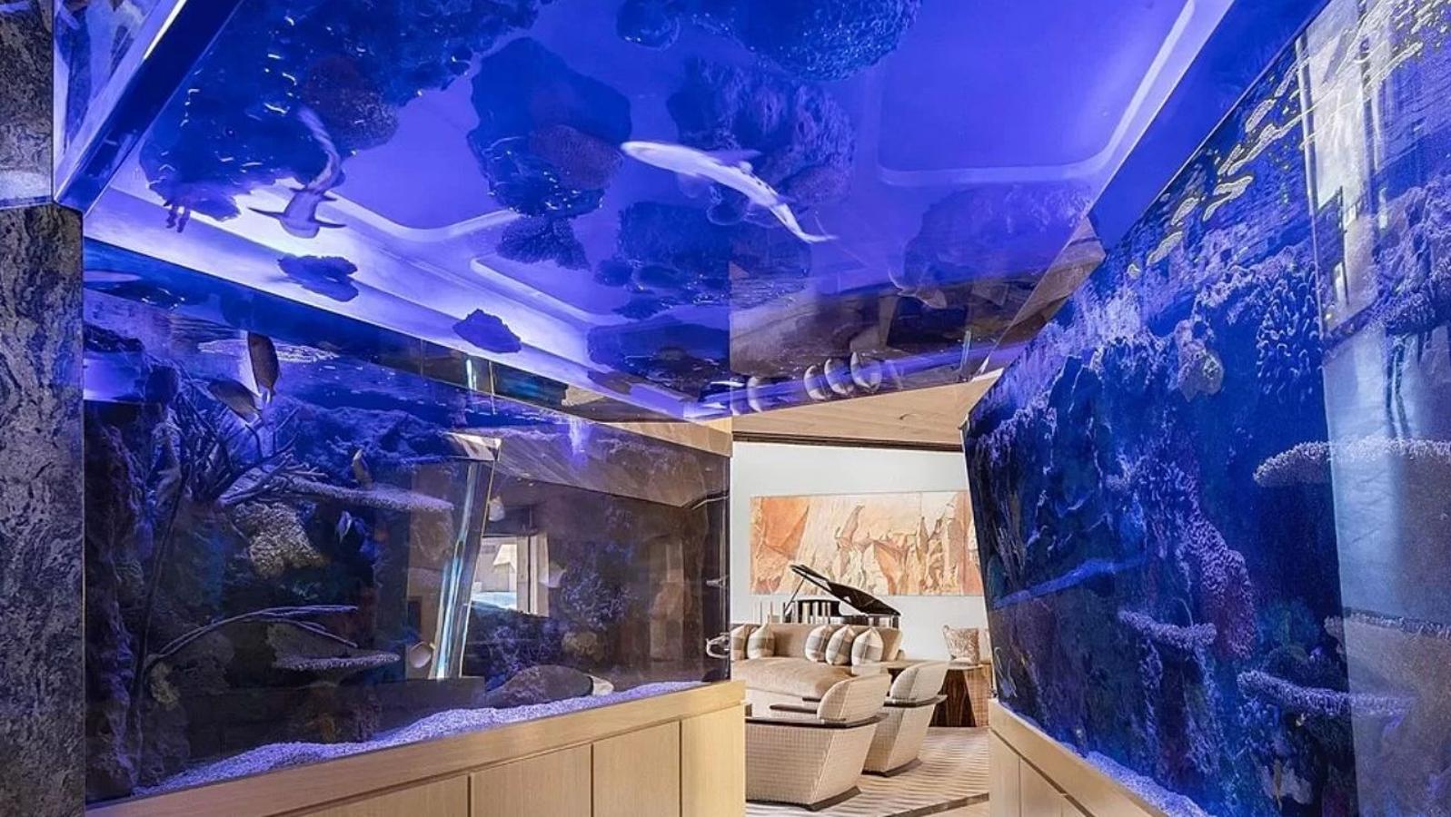Acuario con tiburones