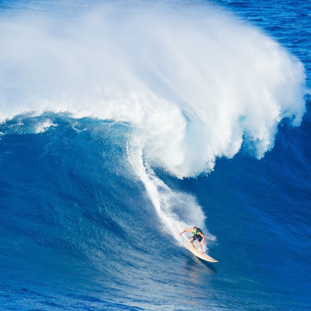 Surf