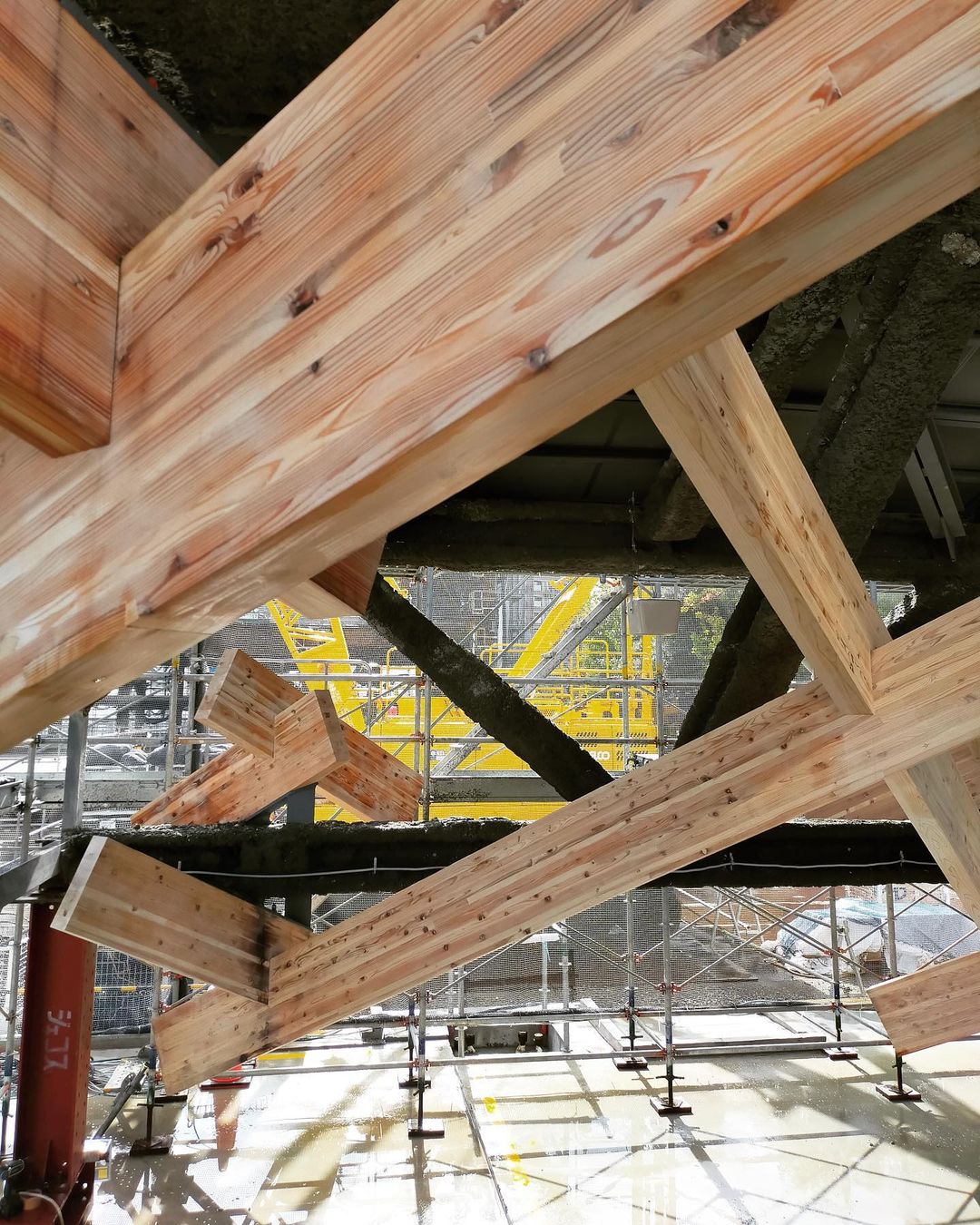 kengo kuma